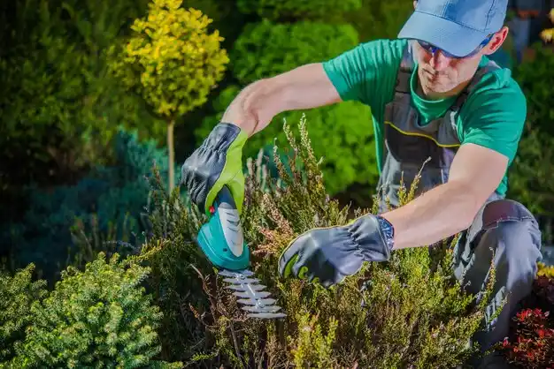 landscaping services Sterlington